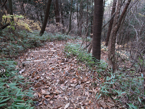 20171116hike (222)